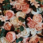 Luxurious display of pink and white roses in full bloom, perfect for romantic celebrations.