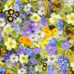 A colorful assortment of spring flowers, showcasing a vivid mix of colors and blooms.